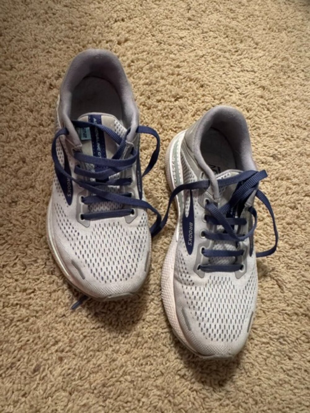 Brooks Adrenaline 22 Shoe